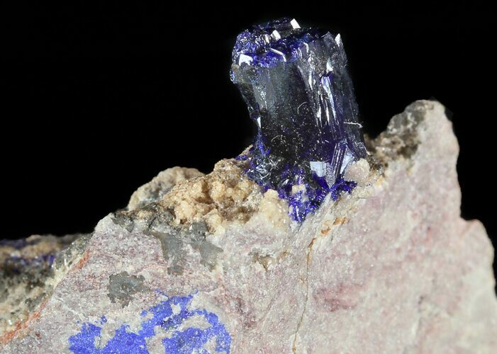 Azurite Crystal on Matrix - Morocco #49446